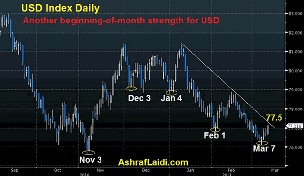 USD Index Daily