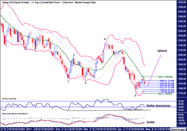 Cocoa Daily Chart