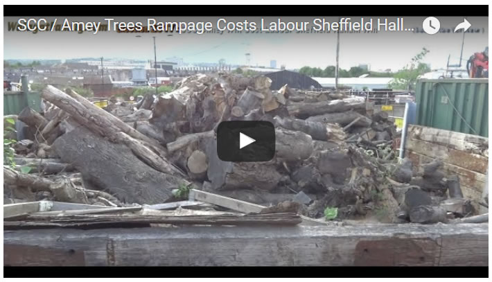 Sheffiled City Council / Amey Trees Rampage Costs Labour Sheffield Hallam Election Win