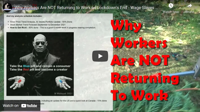 Why Workers Are NOT Returning to Work as Lockdown's End - Wage Slaves Rebellion