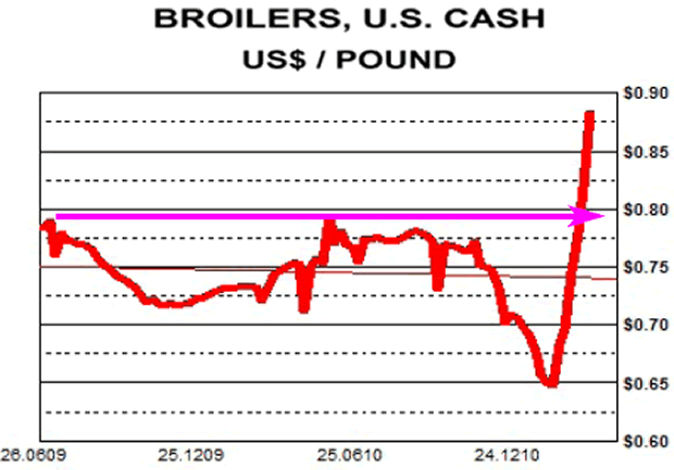 Broilers, US CASH