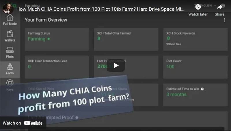 How Much CHIA Coins Profit from 100 Plot 10tb Farm? Hard Drive Space Mining